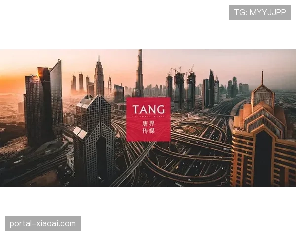 动态优化算法提升体育品牌广告投放精准度